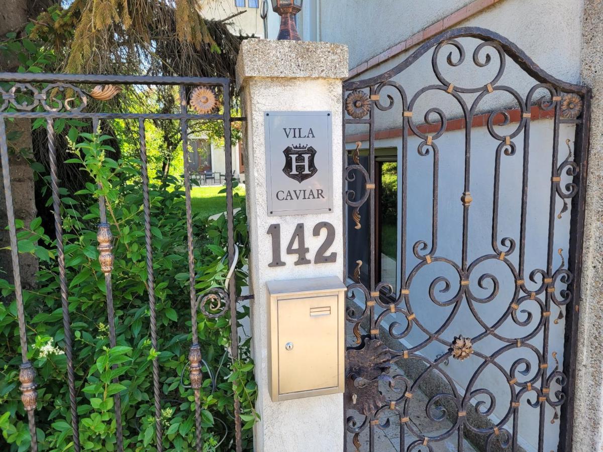 Vila Caviar Hotel Sulina Kültér fotó
